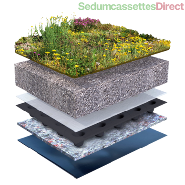 Een kruidendak met sedum en kruidenplanten, ideaal voor een functioneel en esthetisch groen dak.
